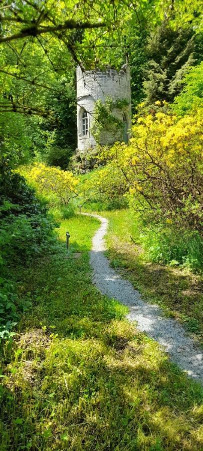 Rapunzel Trifft Dornroeschen Villa Rosenthal-Bielatal ภายนอก รูปภาพ