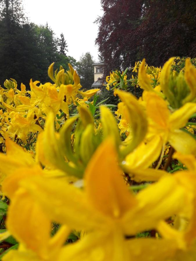 Rapunzel Trifft Dornroeschen Villa Rosenthal-Bielatal ภายนอก รูปภาพ