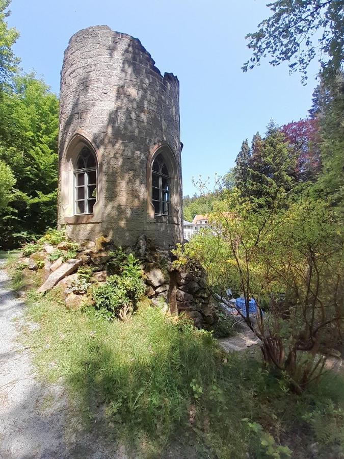 Rapunzel Trifft Dornroeschen Villa Rosenthal-Bielatal ภายนอก รูปภาพ