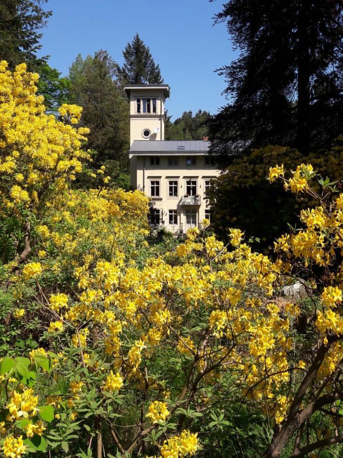 Rapunzel Trifft Dornroeschen Villa Rosenthal-Bielatal ภายนอก รูปภาพ