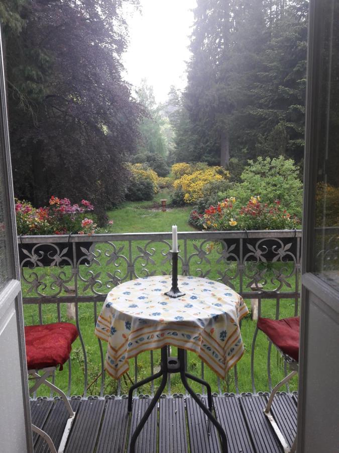 Rapunzel Trifft Dornroeschen Villa Rosenthal-Bielatal ภายนอก รูปภาพ